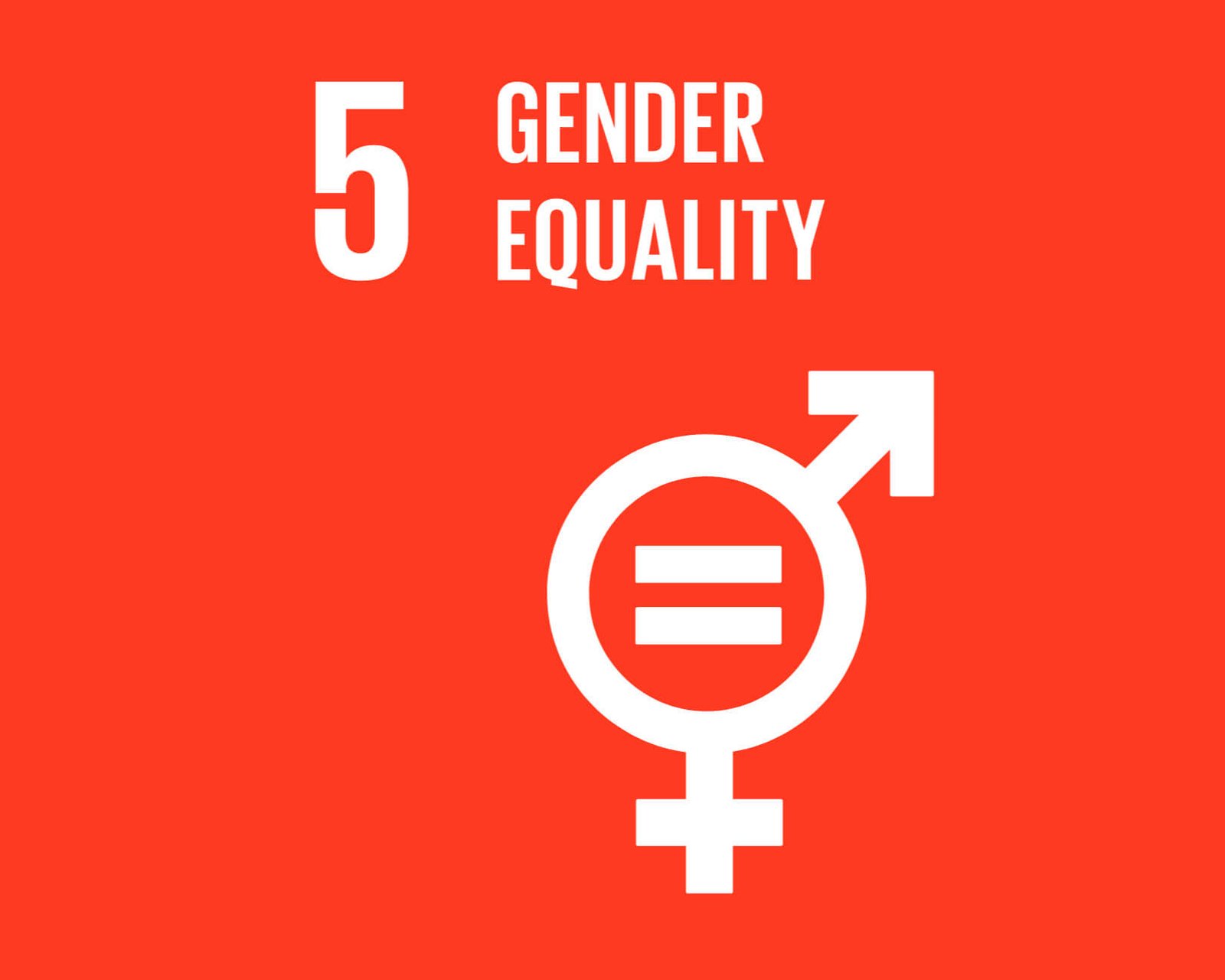 EBEPEXPRESS Logistică pentru comerț electronic cu tarife fixe